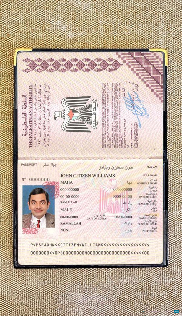 Download Palestine passport photo look Photoshop template